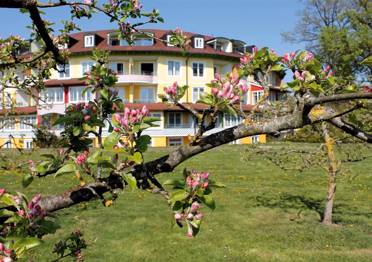 Bild der Unterkunft