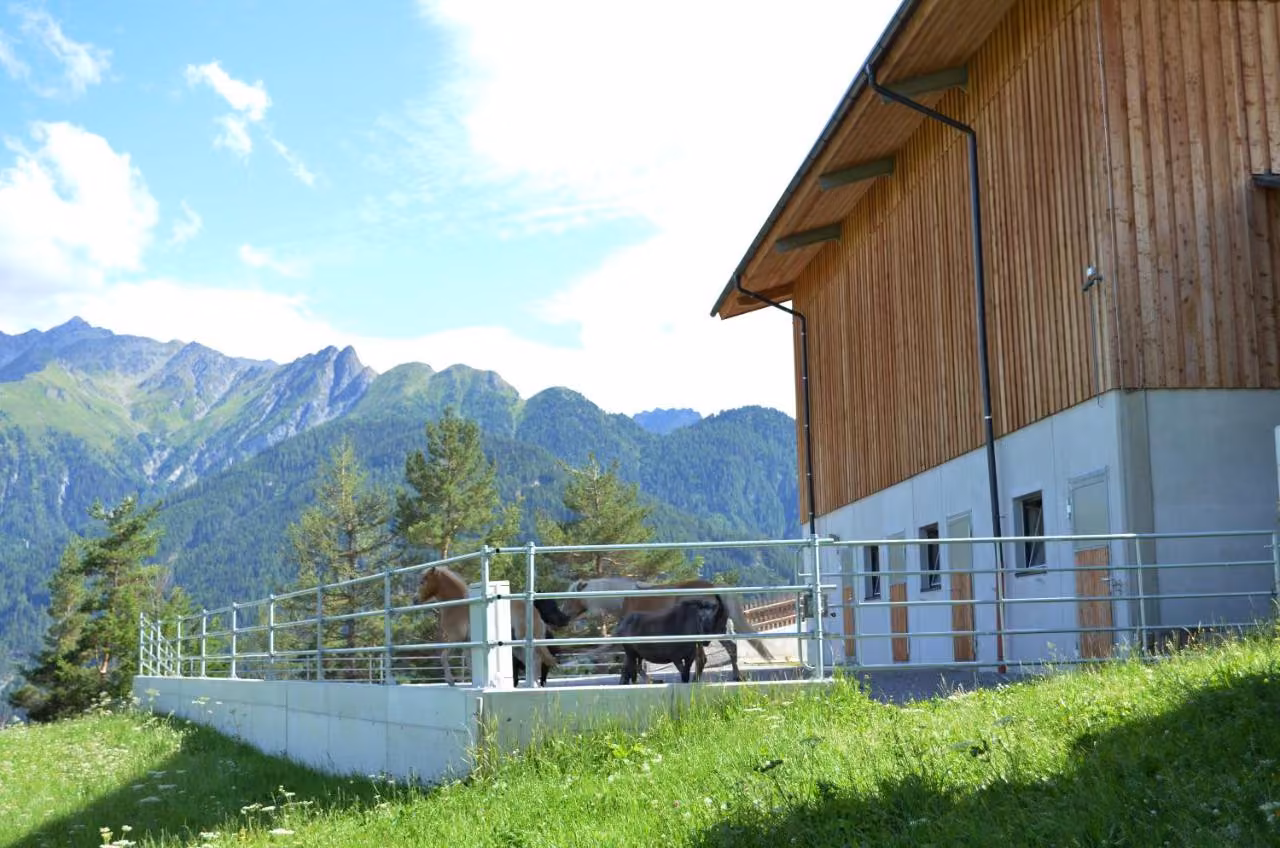 Bild der Unterkunft