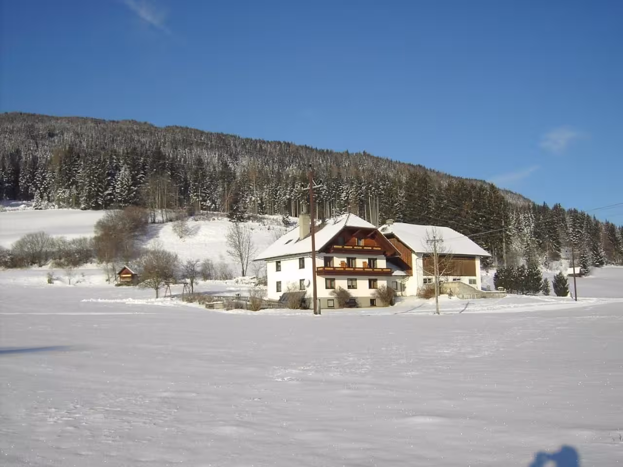 Bild der Unterkunft