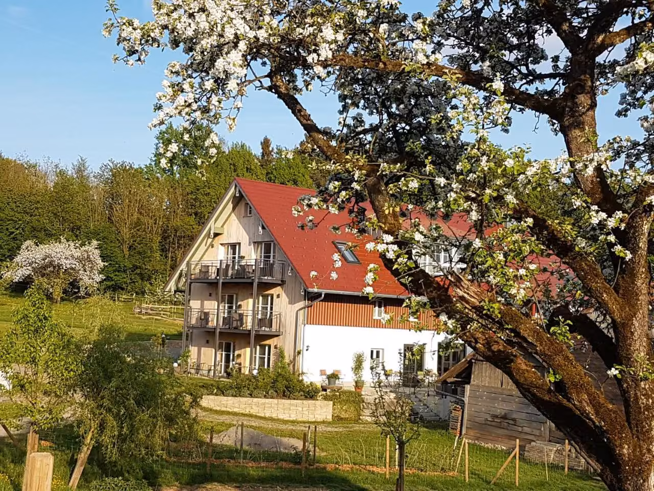 Bild der Unterkunft