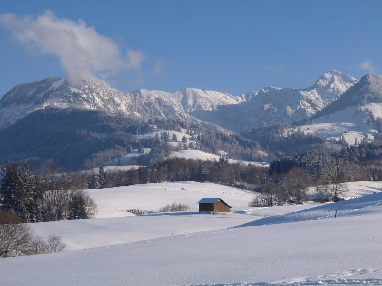 Bild der Unterkunft