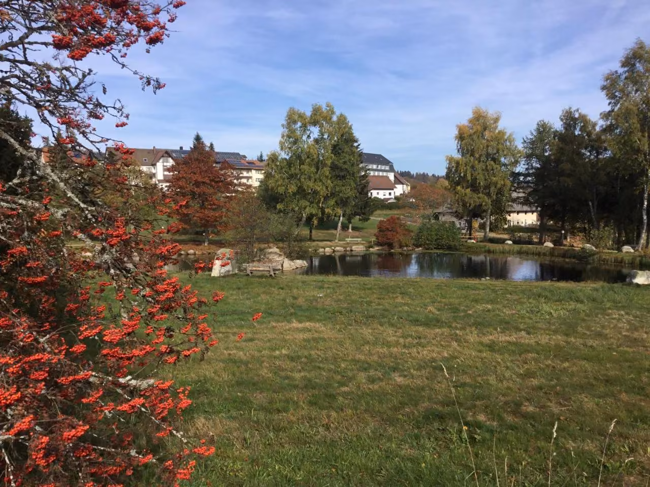 Bild der Unterkunft