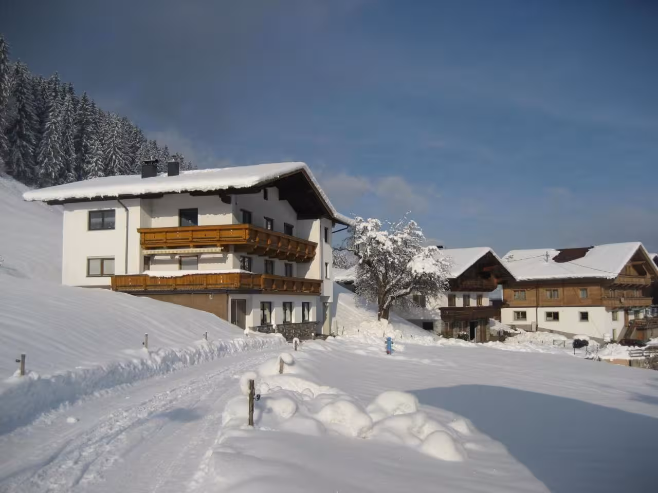 Bild der Unterkunft