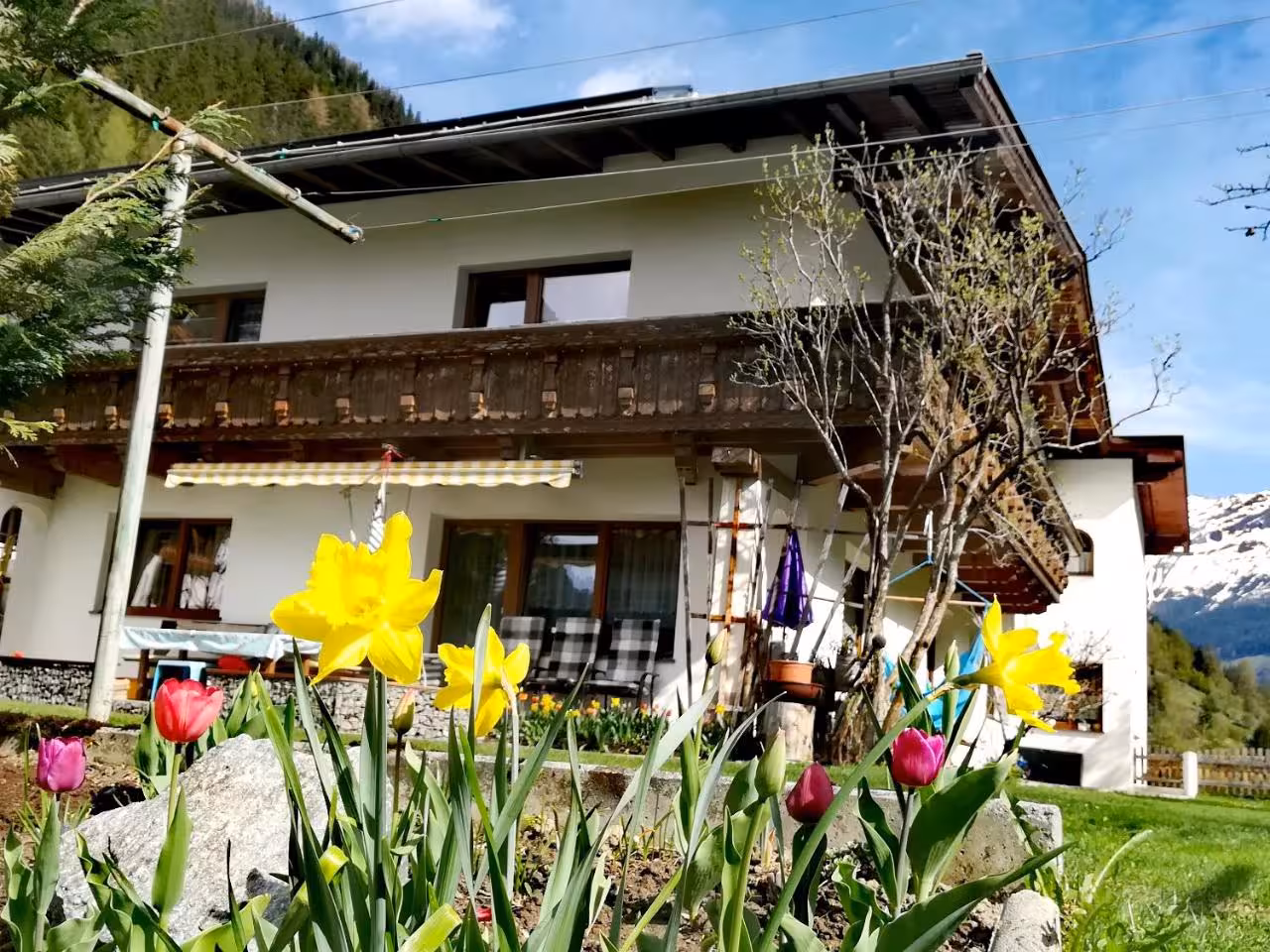Bild der Unterkunft