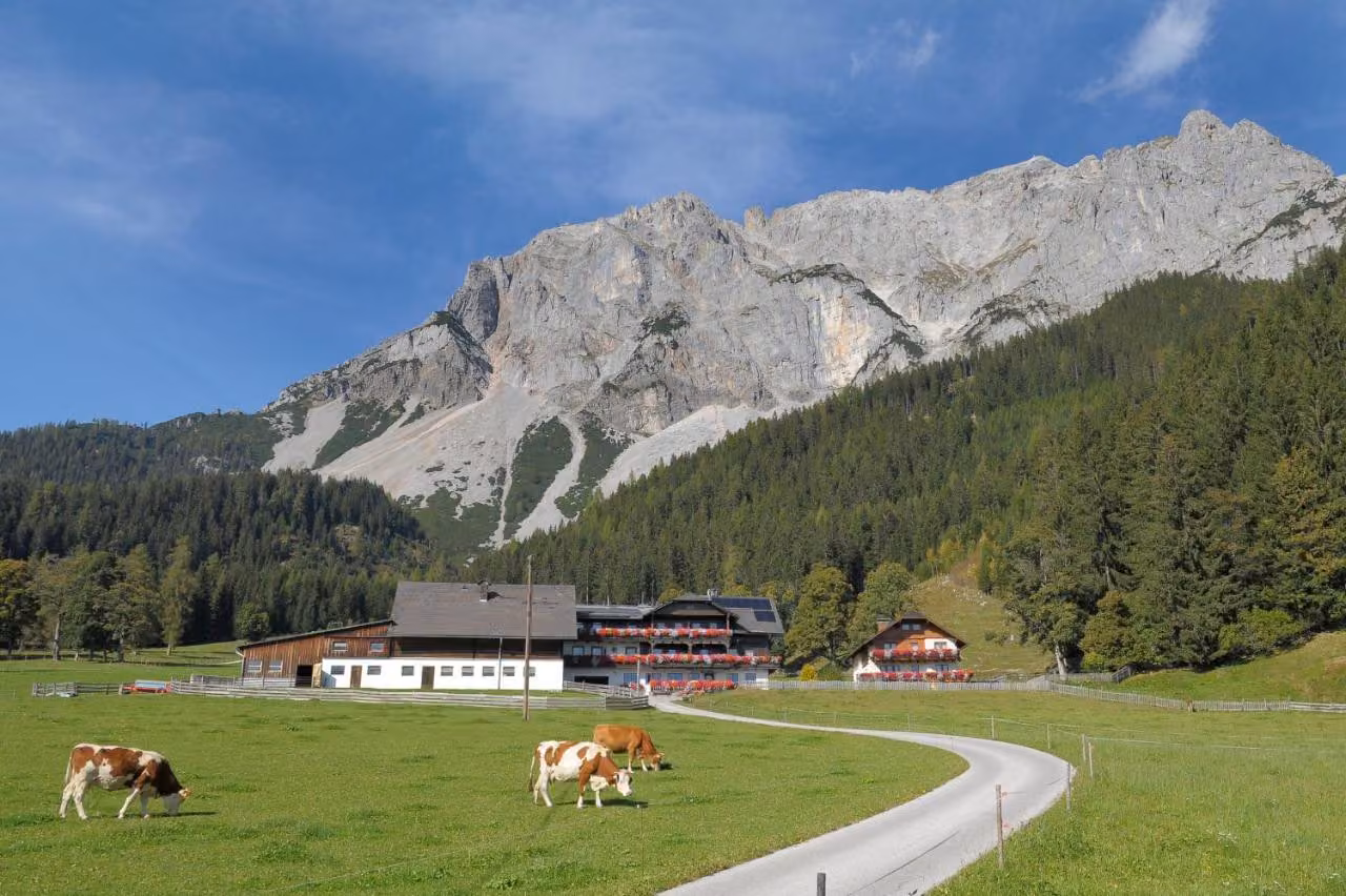 Bild der Unterkunft