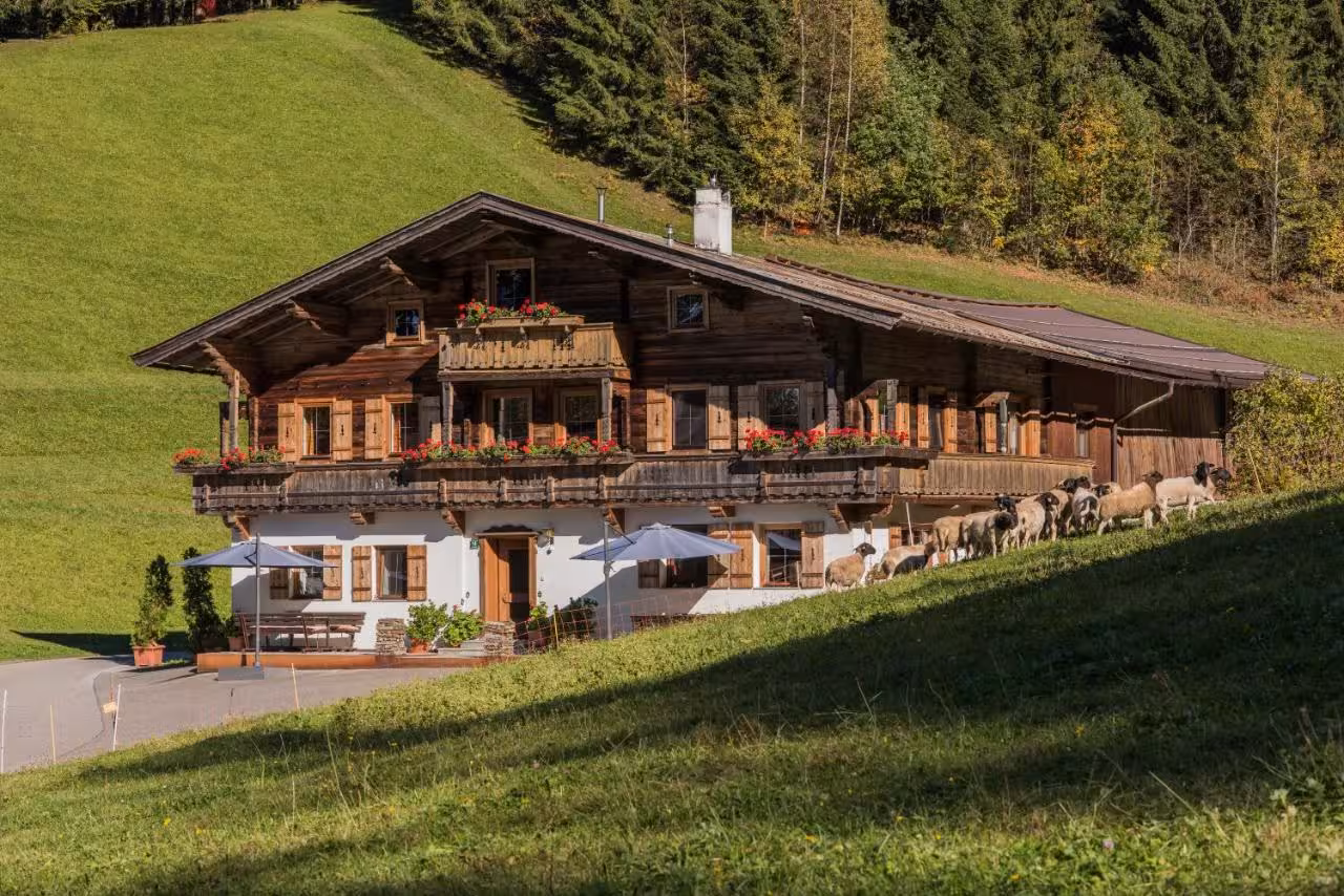Bild der Unterkunft