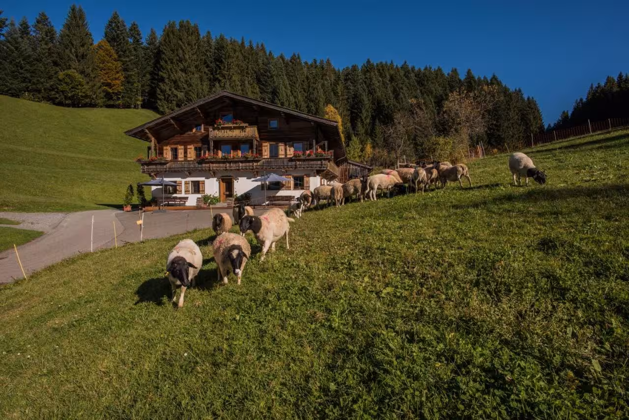 Bild der Unterkunft