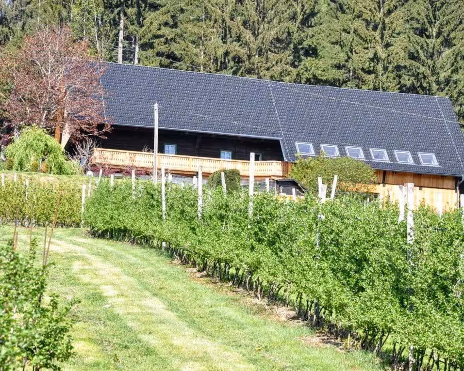 Bild der Unterkunft