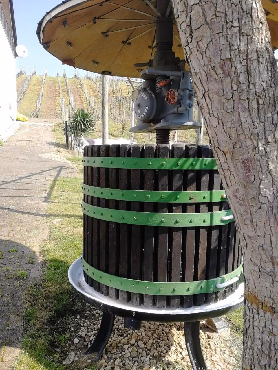 Bild der Unterkunft
