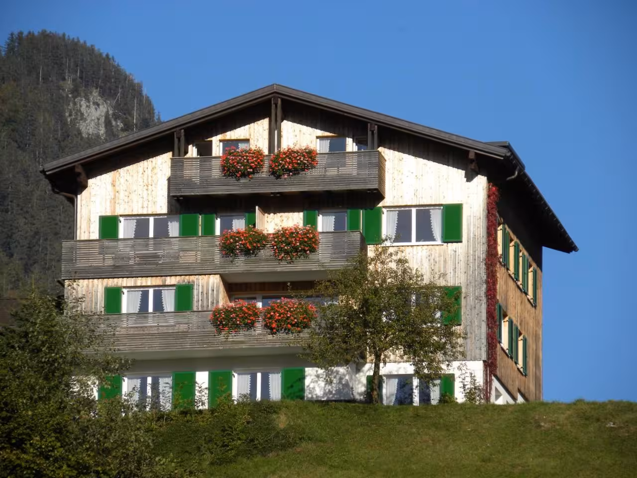 Bild der Unterkunft