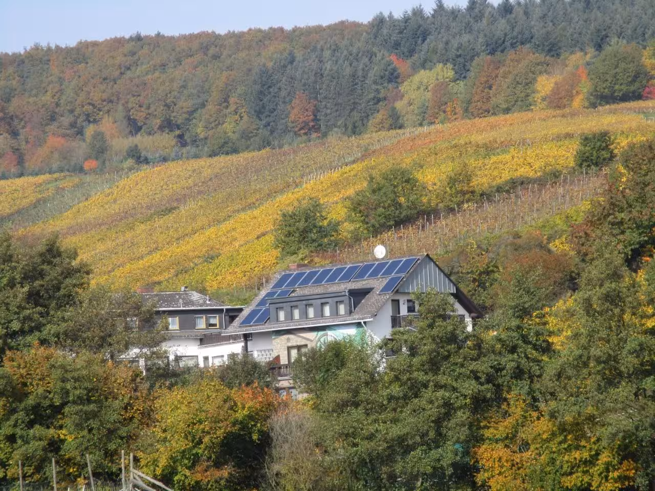 Bild der Unterkunft