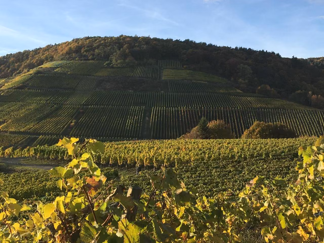 Bild der Unterkunft