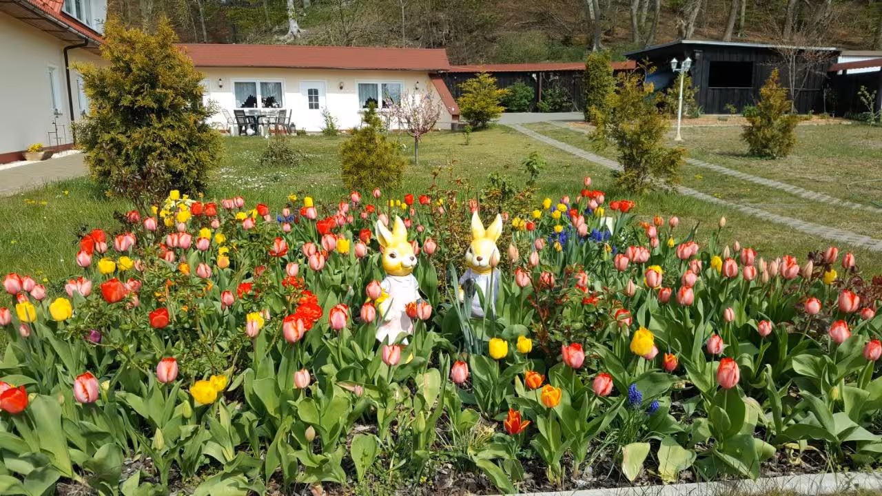 Bild der Unterkunft
