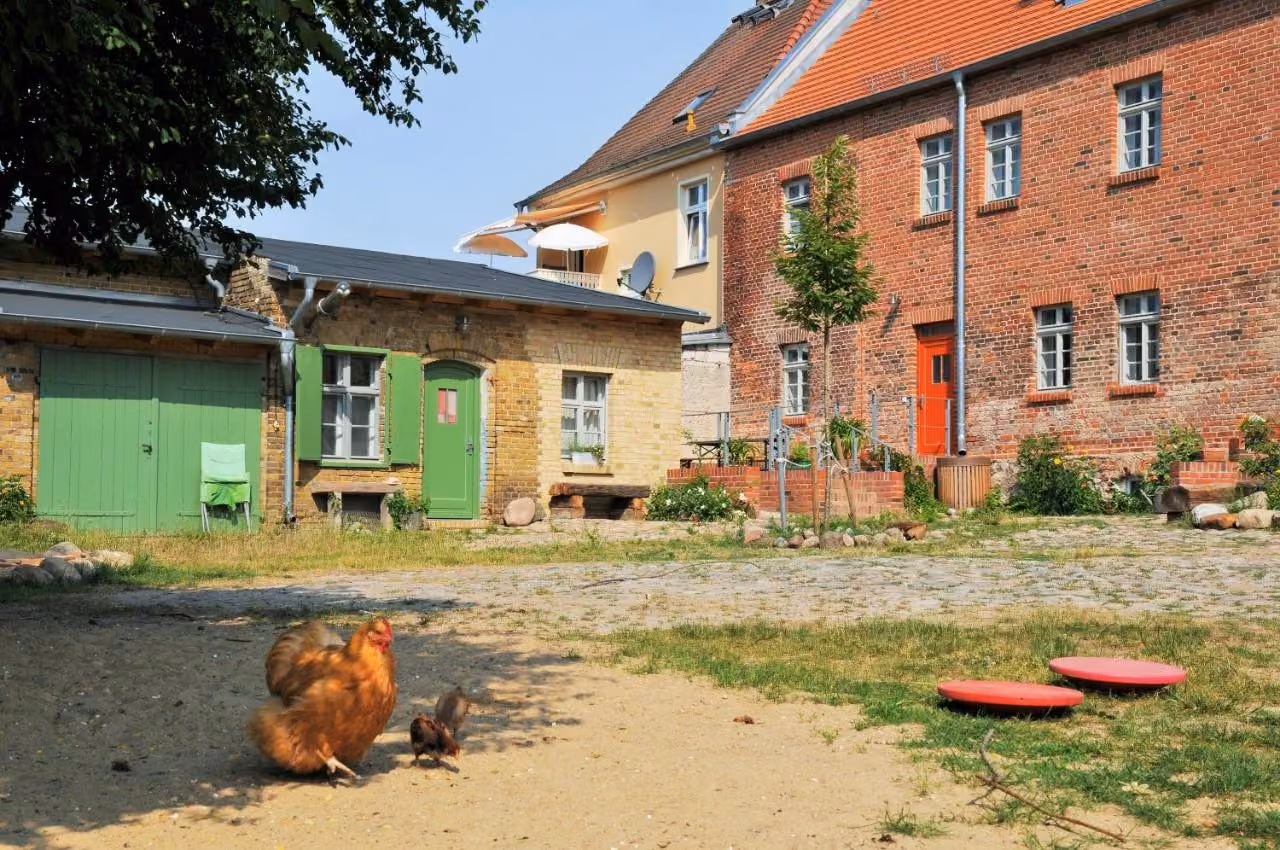Bild der Unterkunft