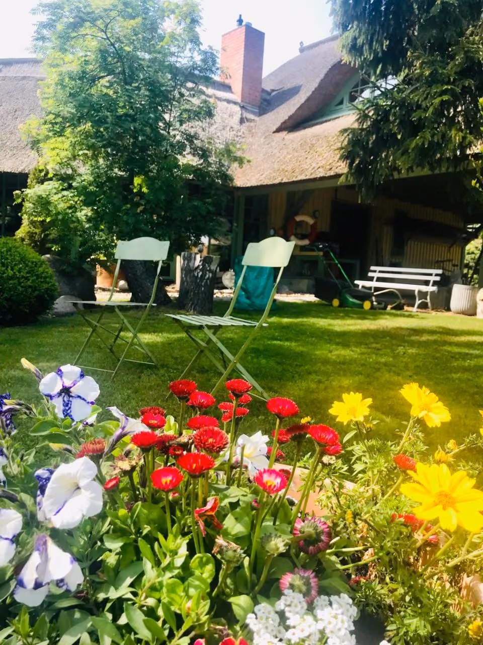 Bild der Unterkunft
