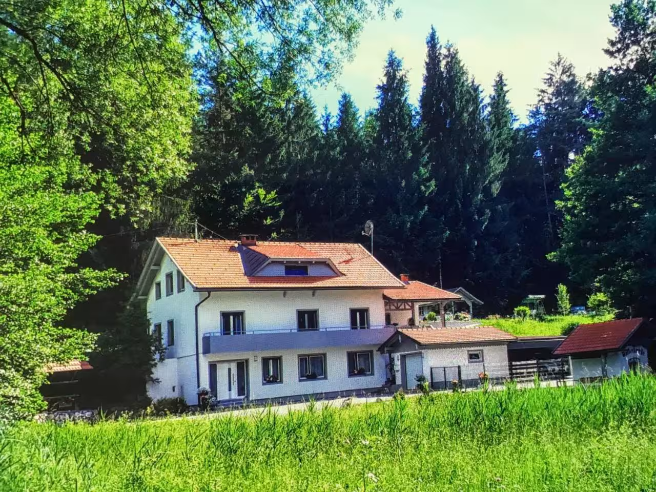 Bild der Unterkunft
