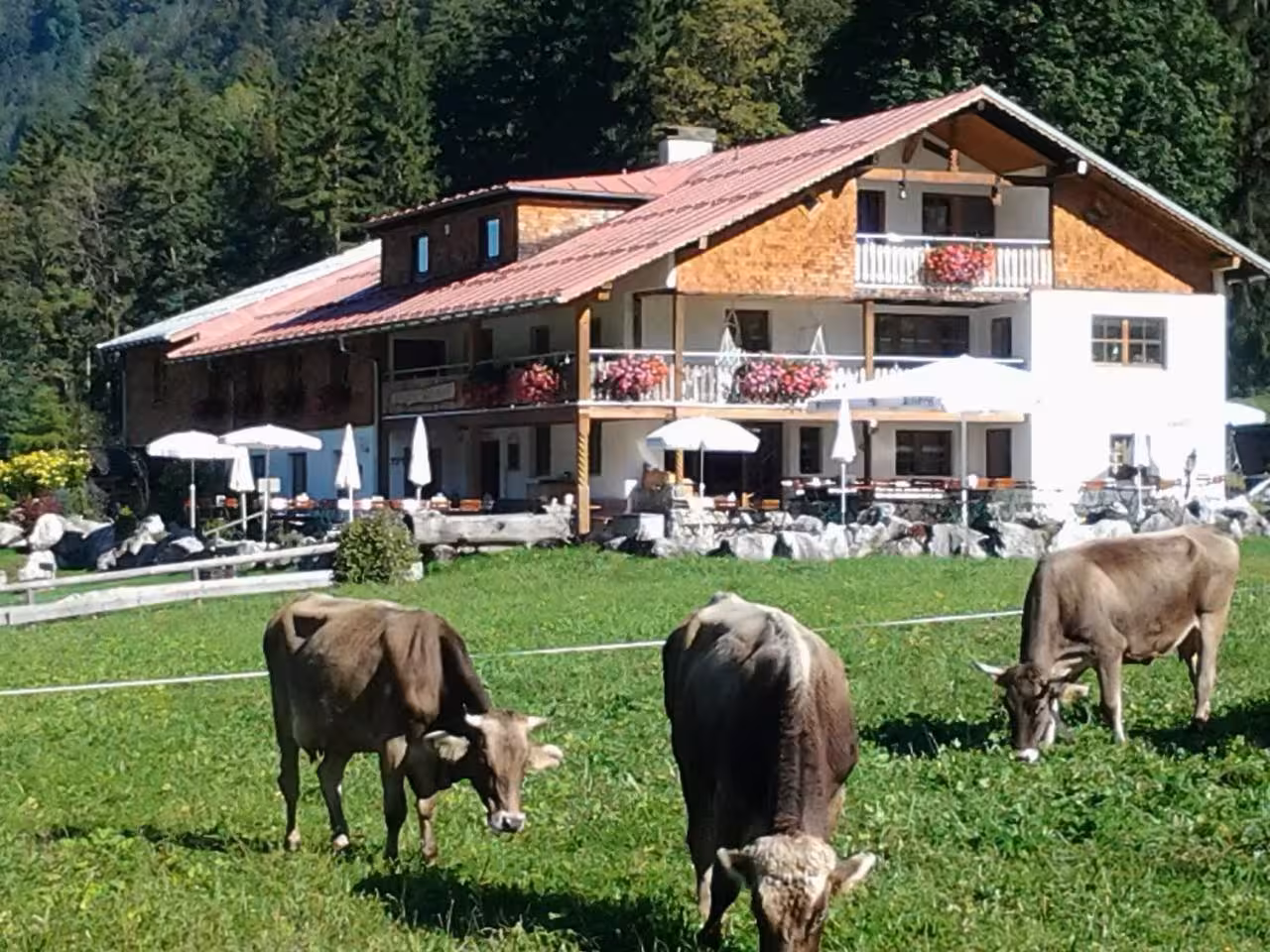 Bild der Unterkunft