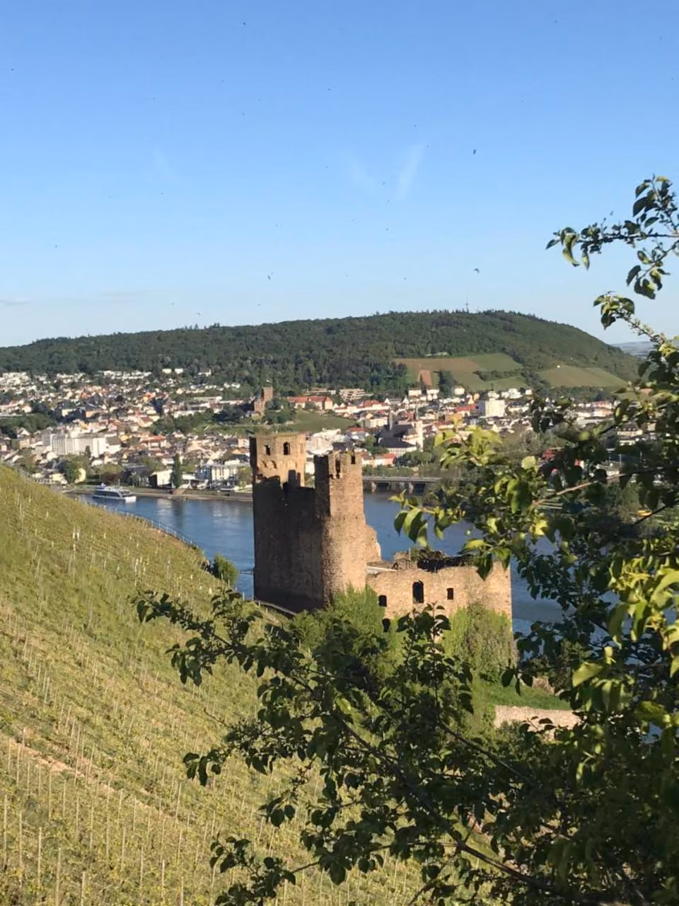 Bild der Unterkunft