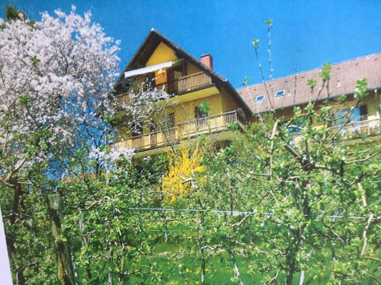 Bild der Unterkunft