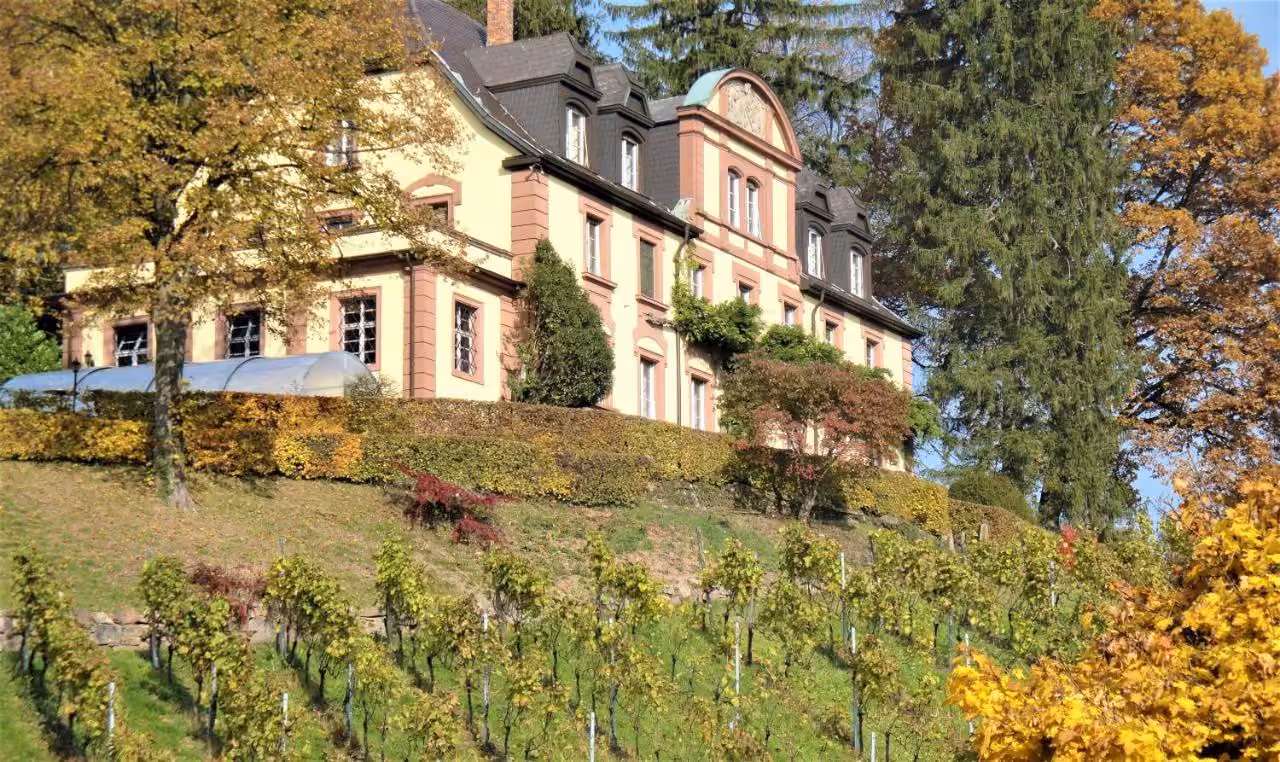 Bild der Unterkunft