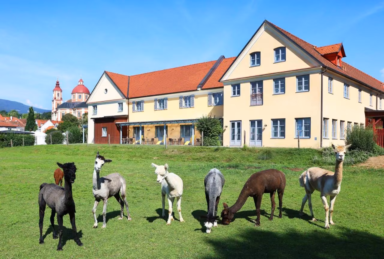 Bild der Unterkunft