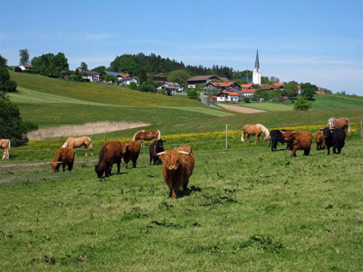 Bild der Unterkunft