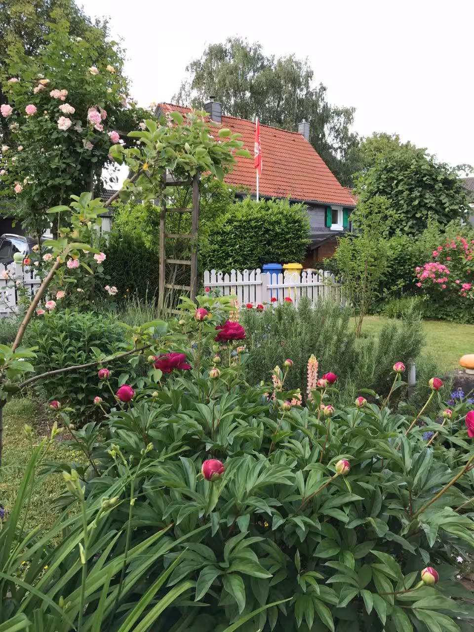 Bild der Unterkunft