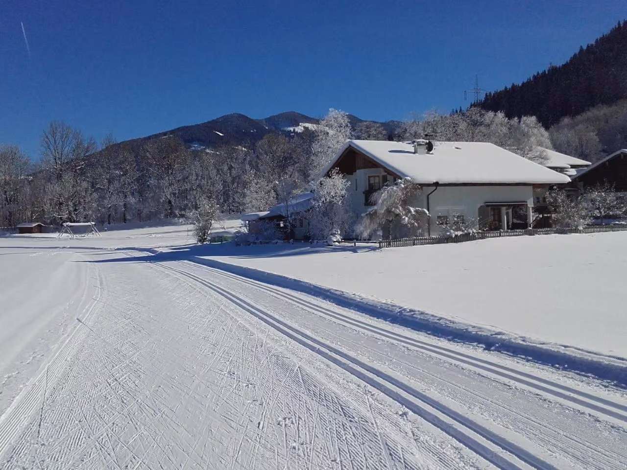 Bild der Unterkunft