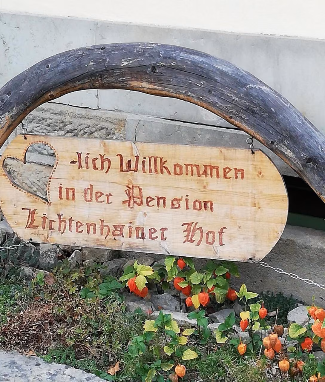 Bild der Unterkunft