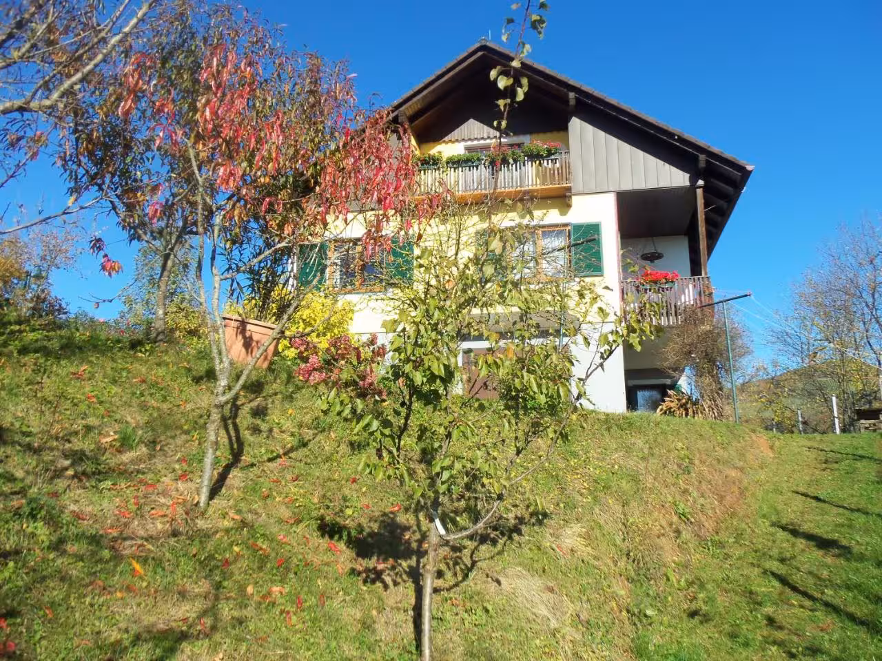 Bild der Unterkunft