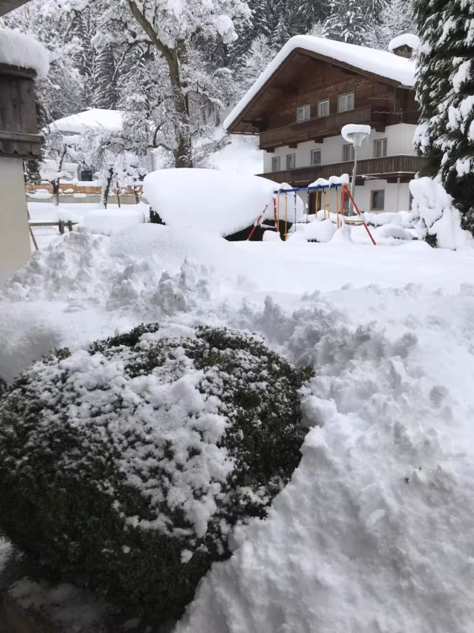 Bild der Unterkunft