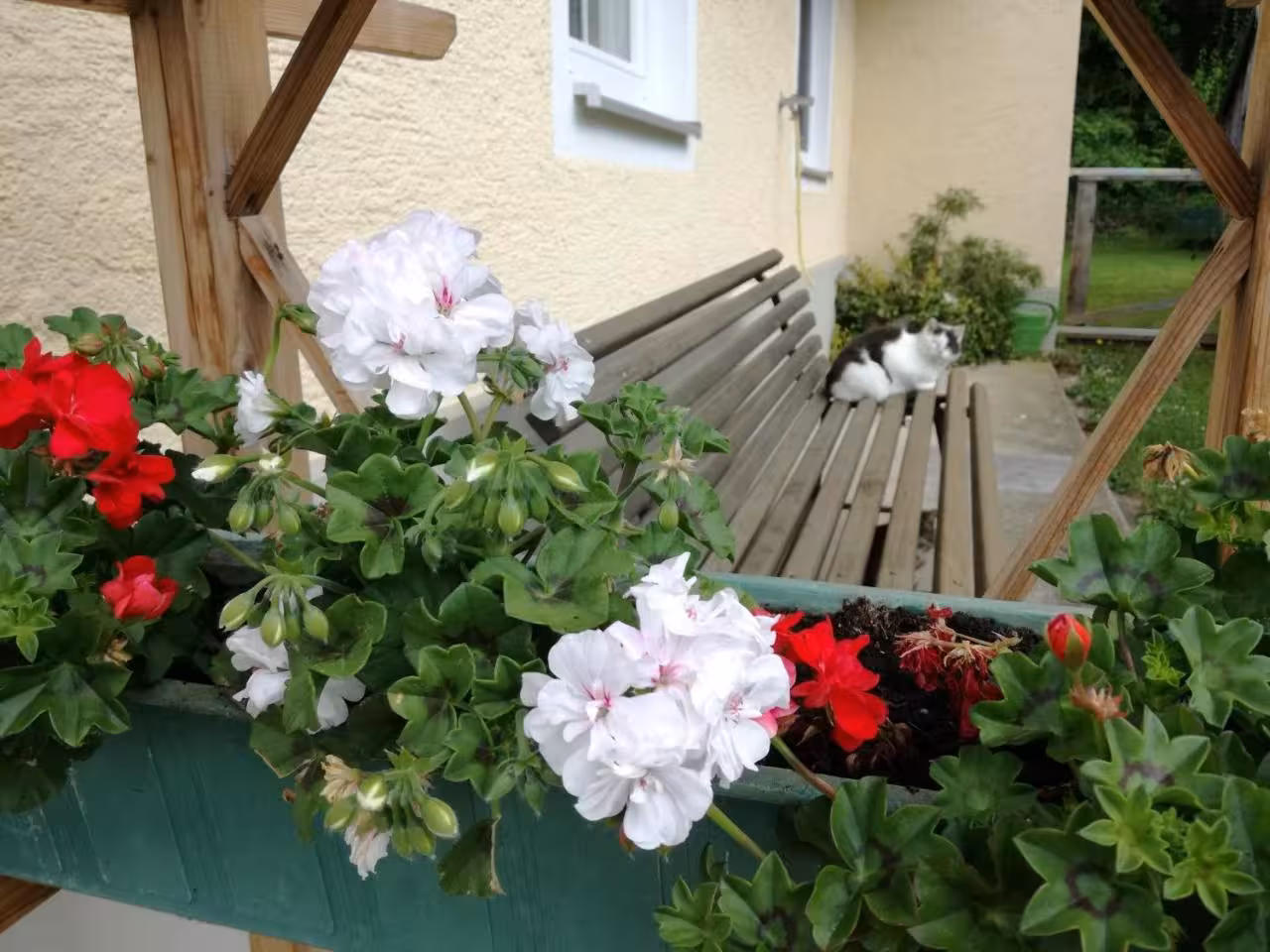 Bild der Unterkunft