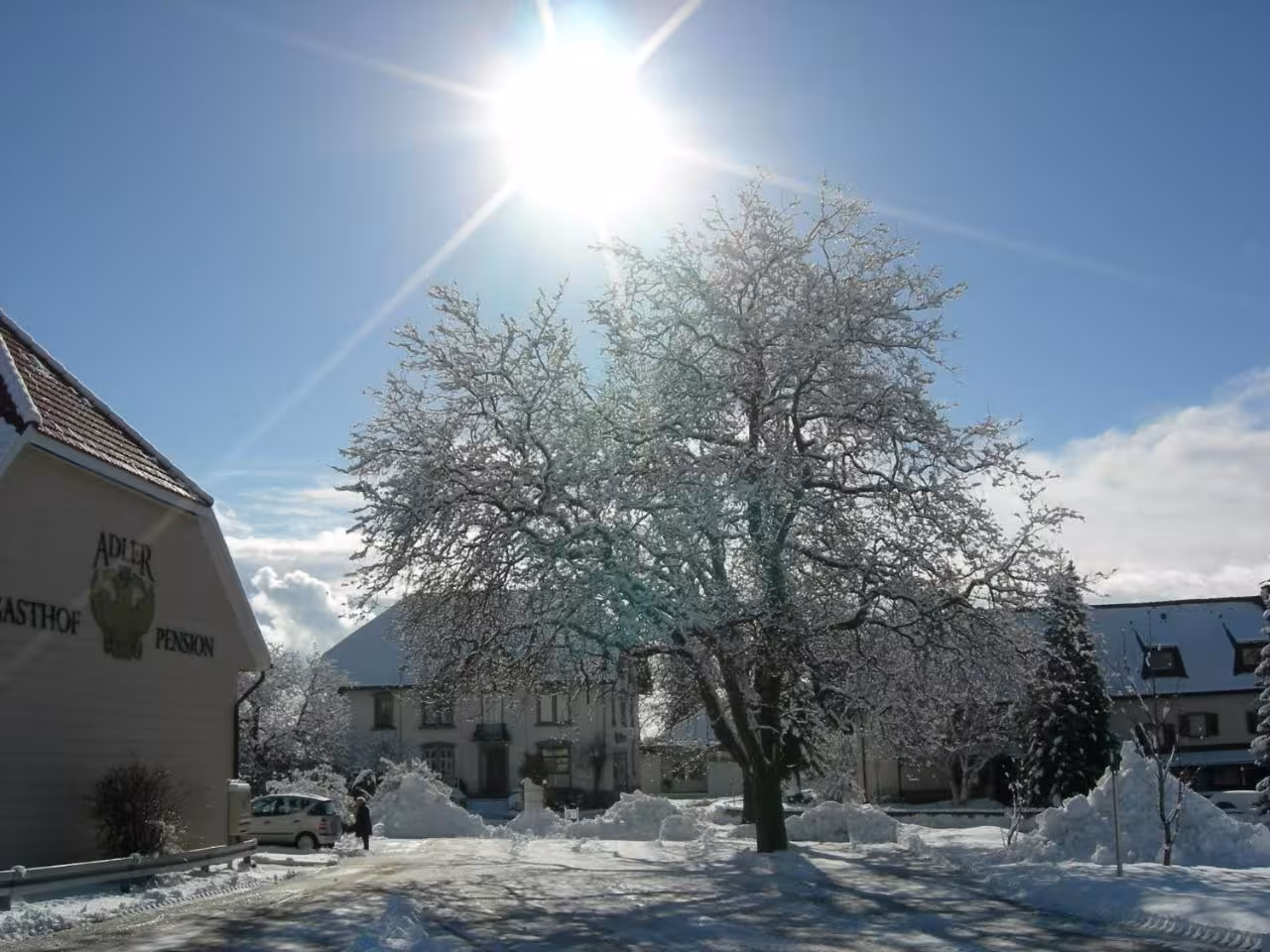 Bild der Unterkunft