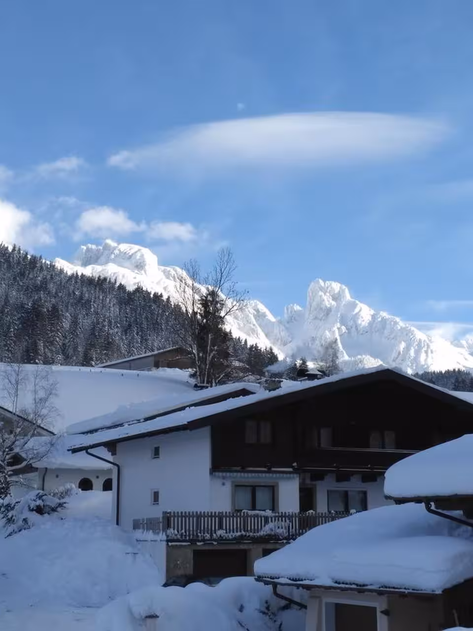 Bild der Unterkunft