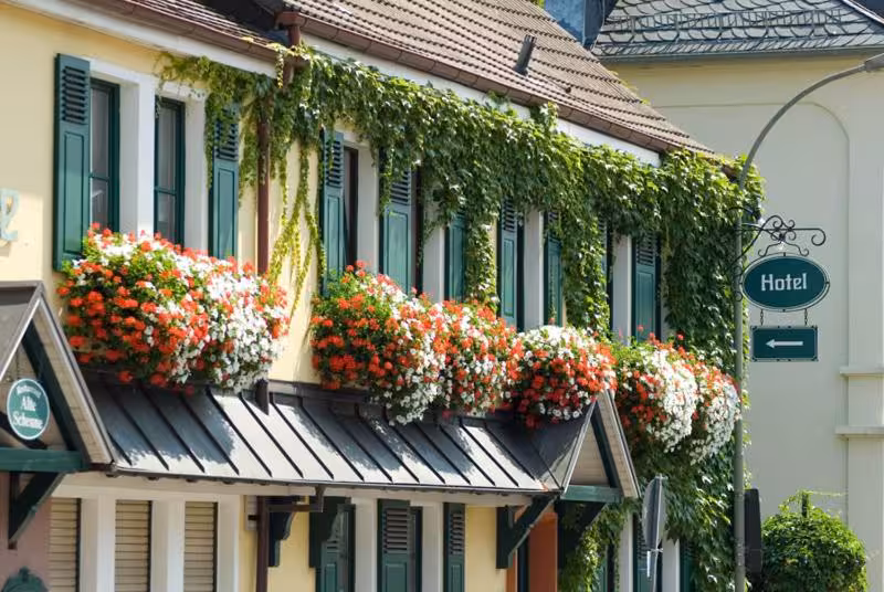 Bild der Unterkunft