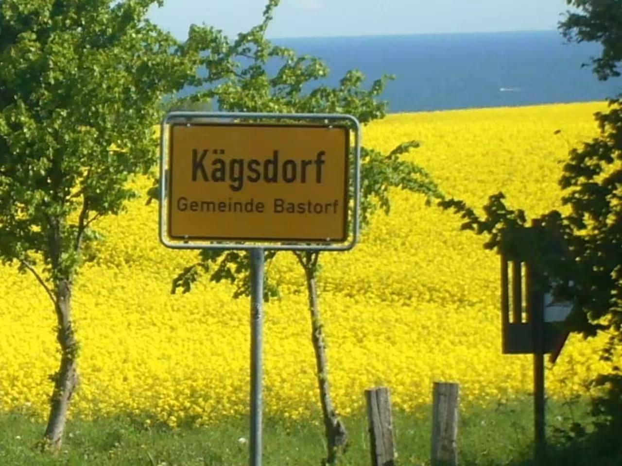 Bild der Unterkunft