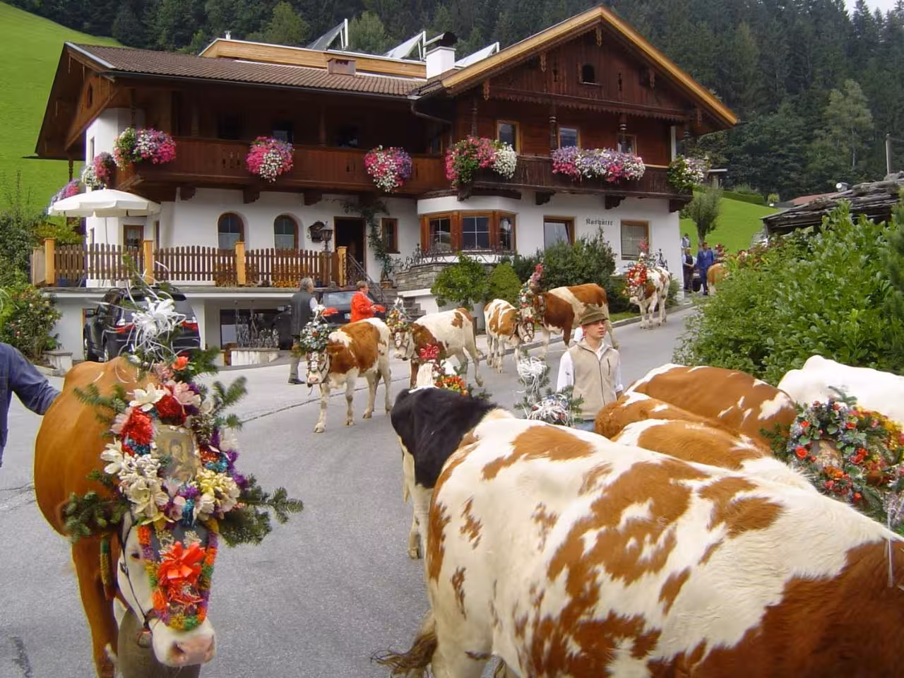Bild der Unterkunft