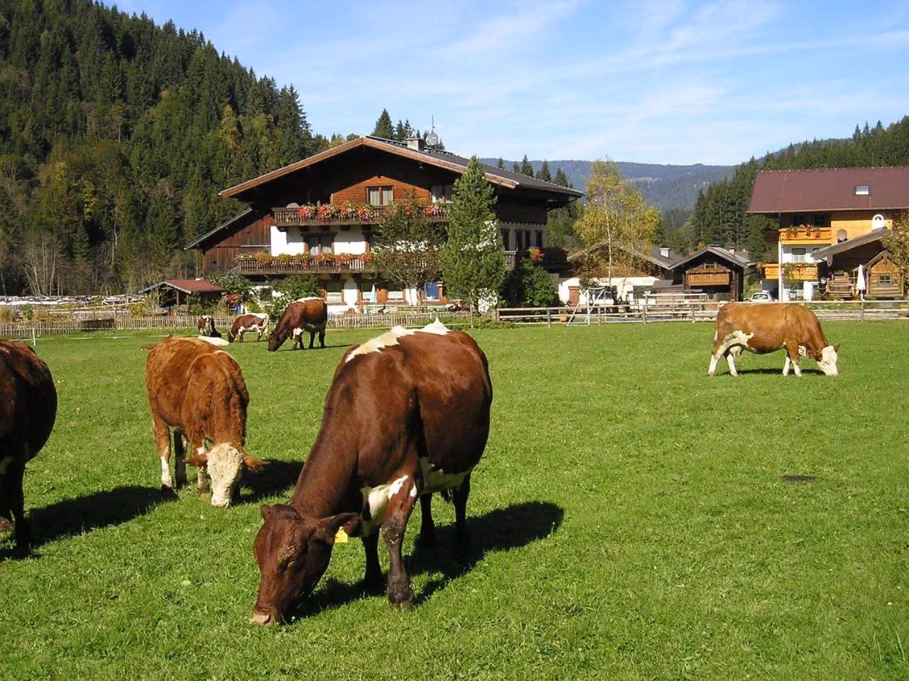 Bild der Unterkunft