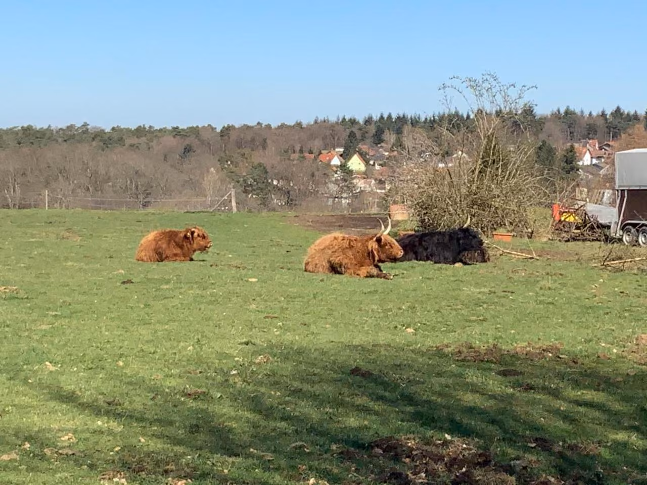 Bild der Unterkunft