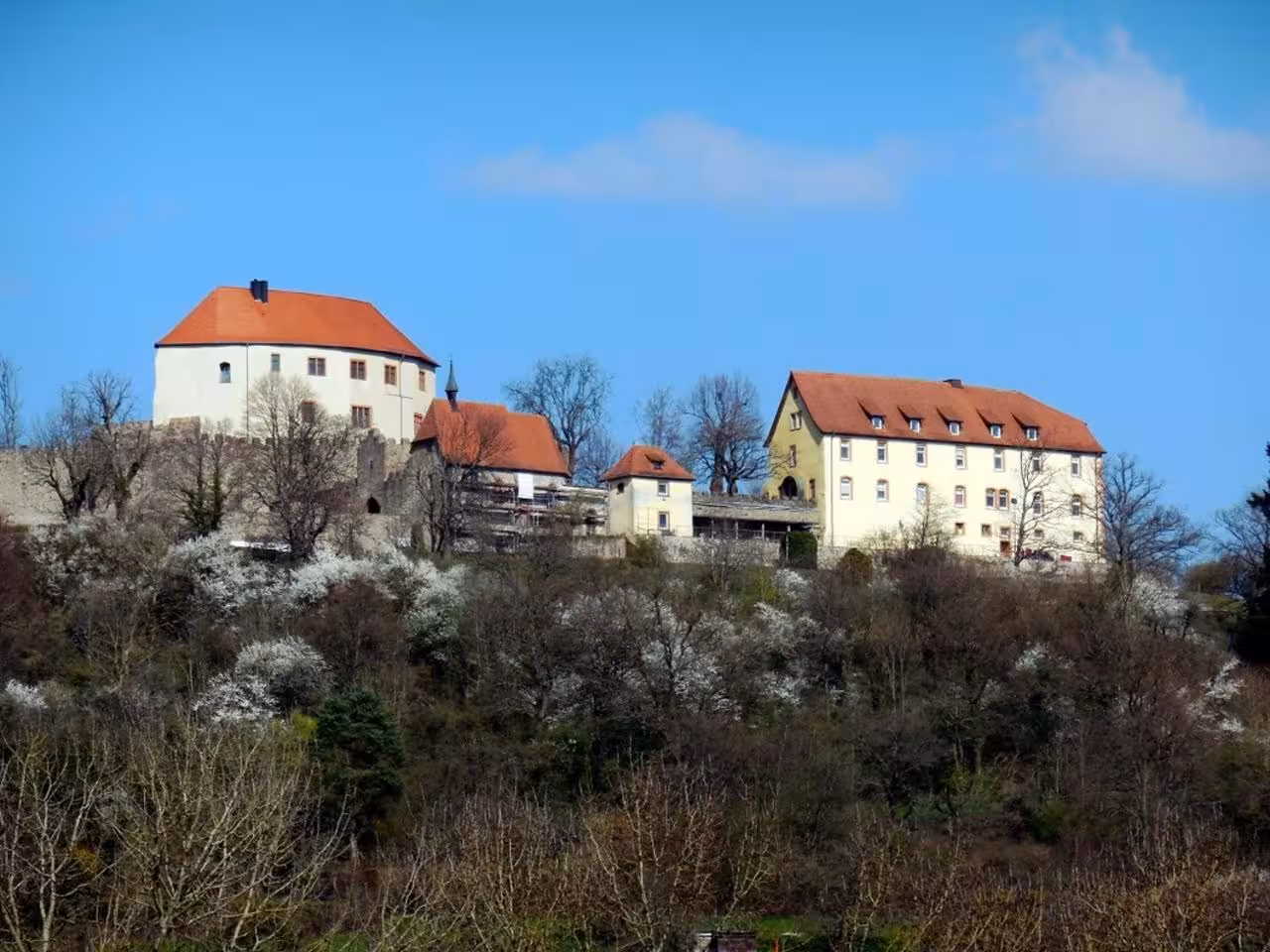Bild der Unterkunft