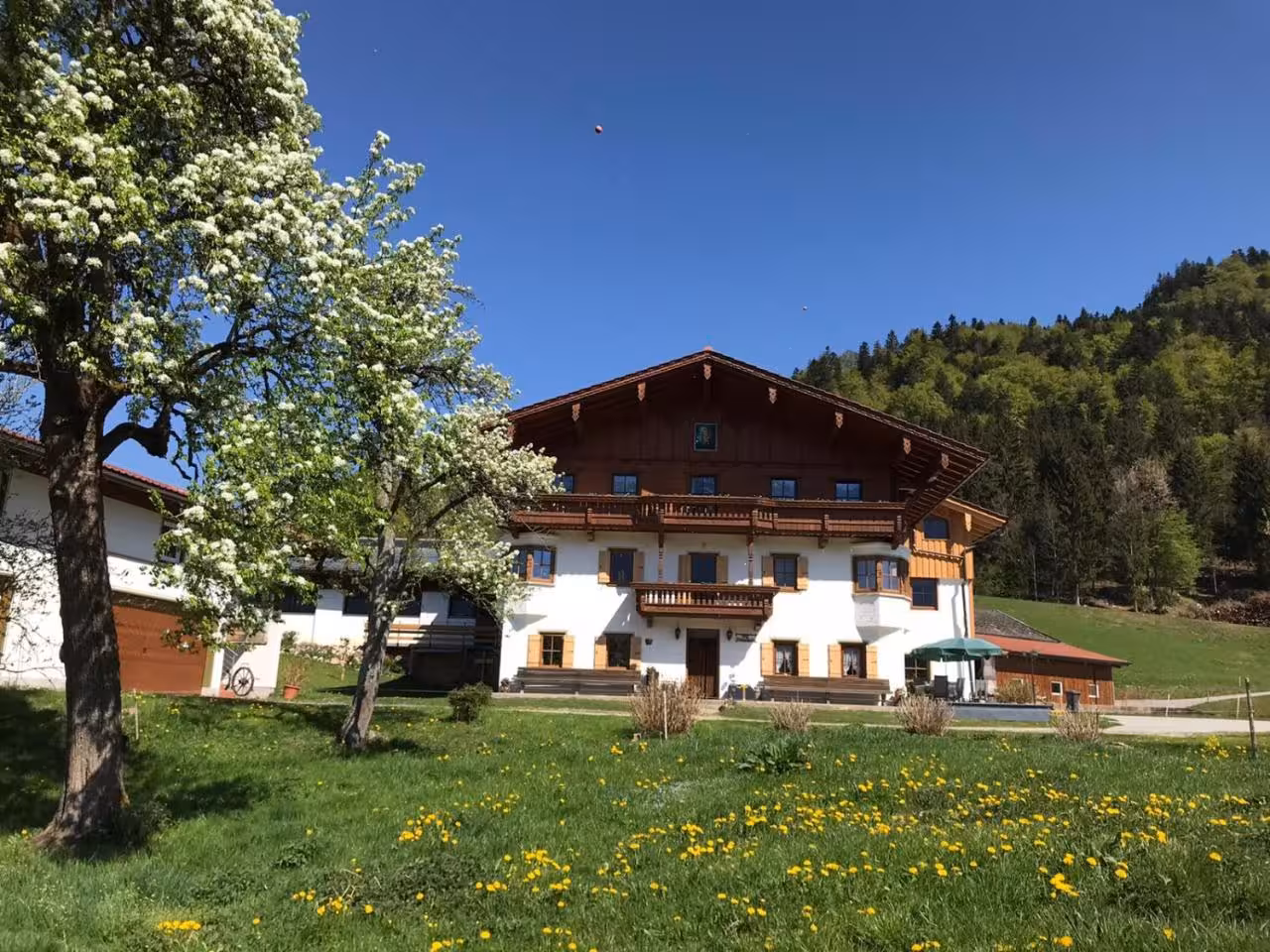 Bild der Unterkunft