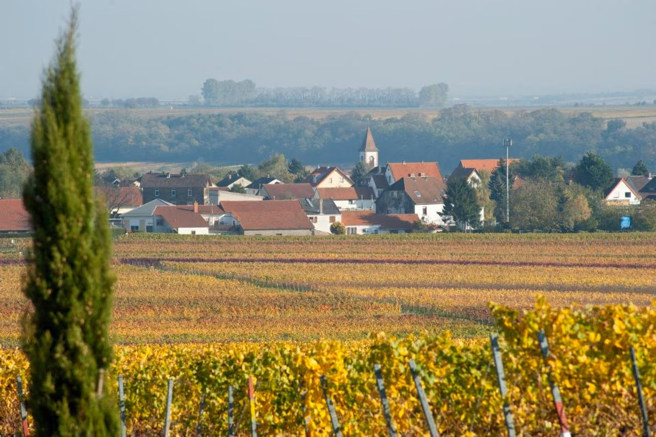 Bild der Unterkunft