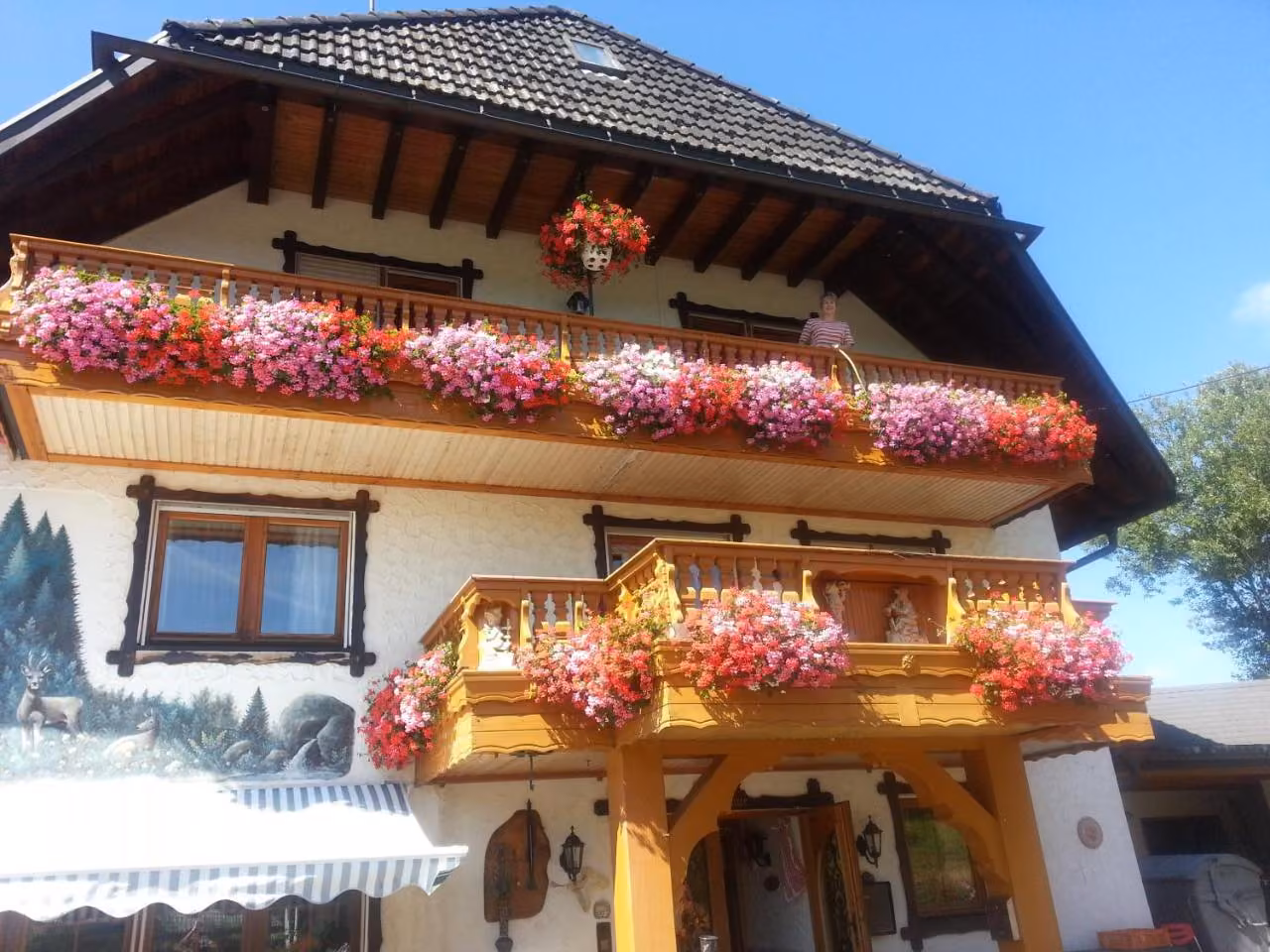 Bild der Unterkunft
