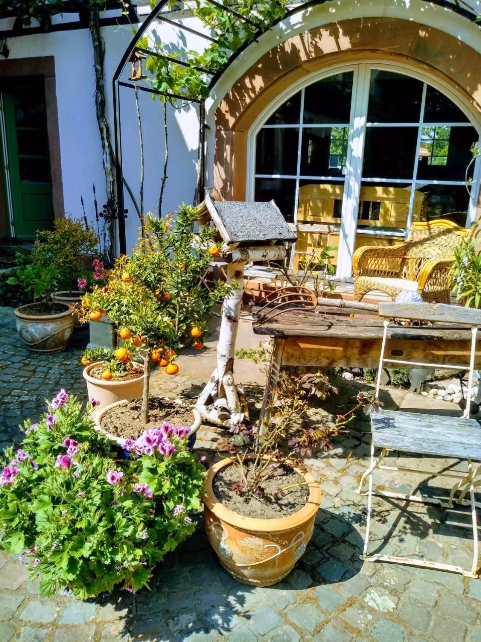 Bild der Unterkunft