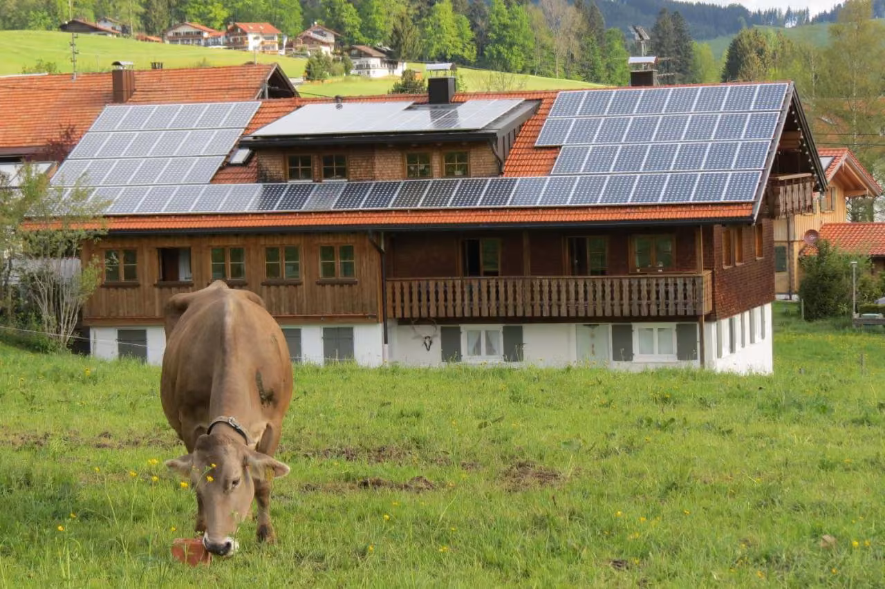 Bild der Unterkunft