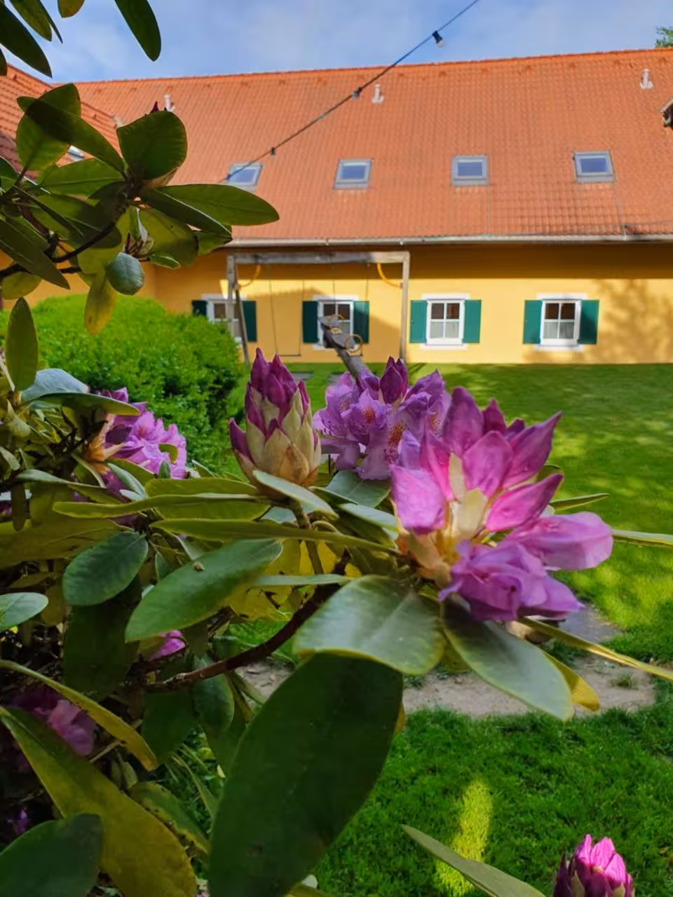 Bild der Unterkunft
