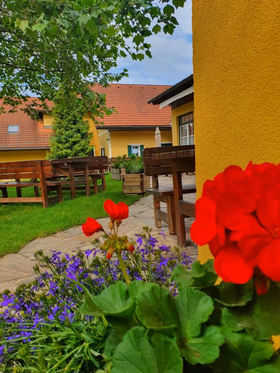 Bild der Unterkunft