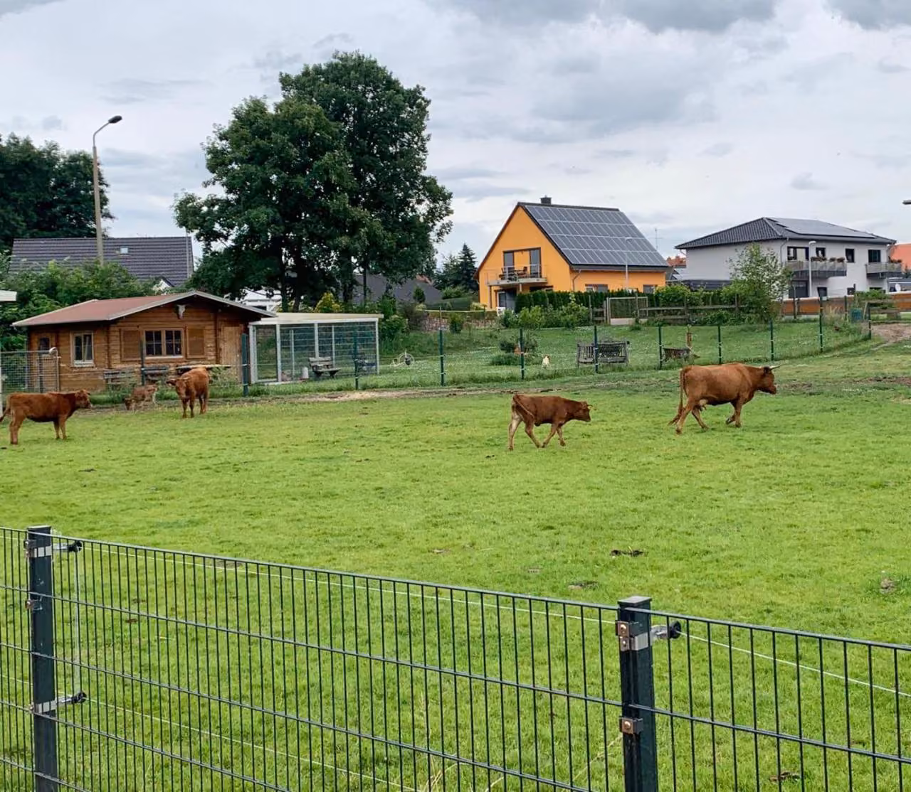 Bild der Unterkunft