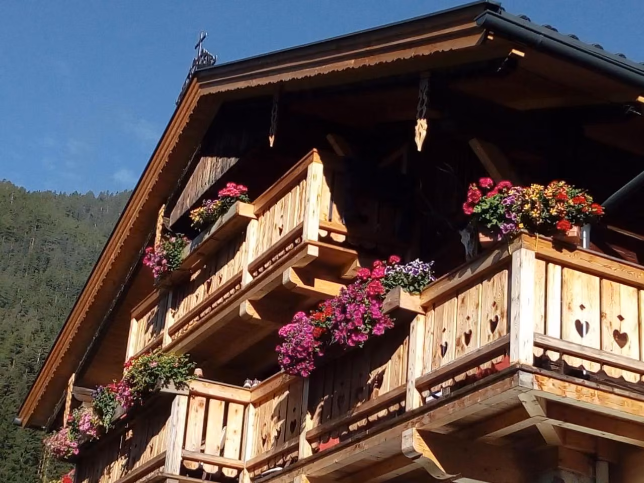 Bild der Unterkunft