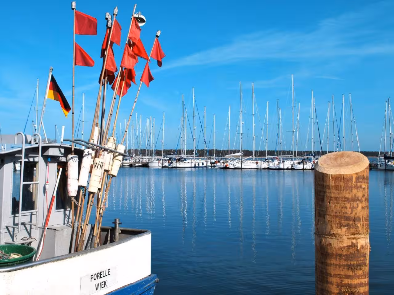 Bild der Unterkunft